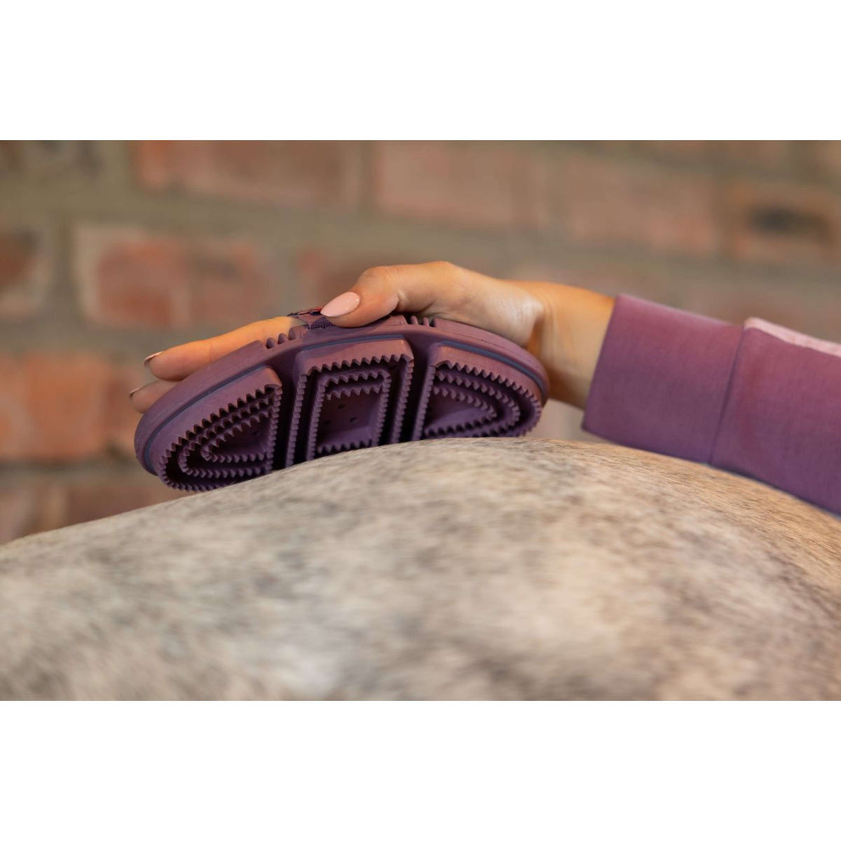 LeMieux Striegel Flexi Curry Powder Blue