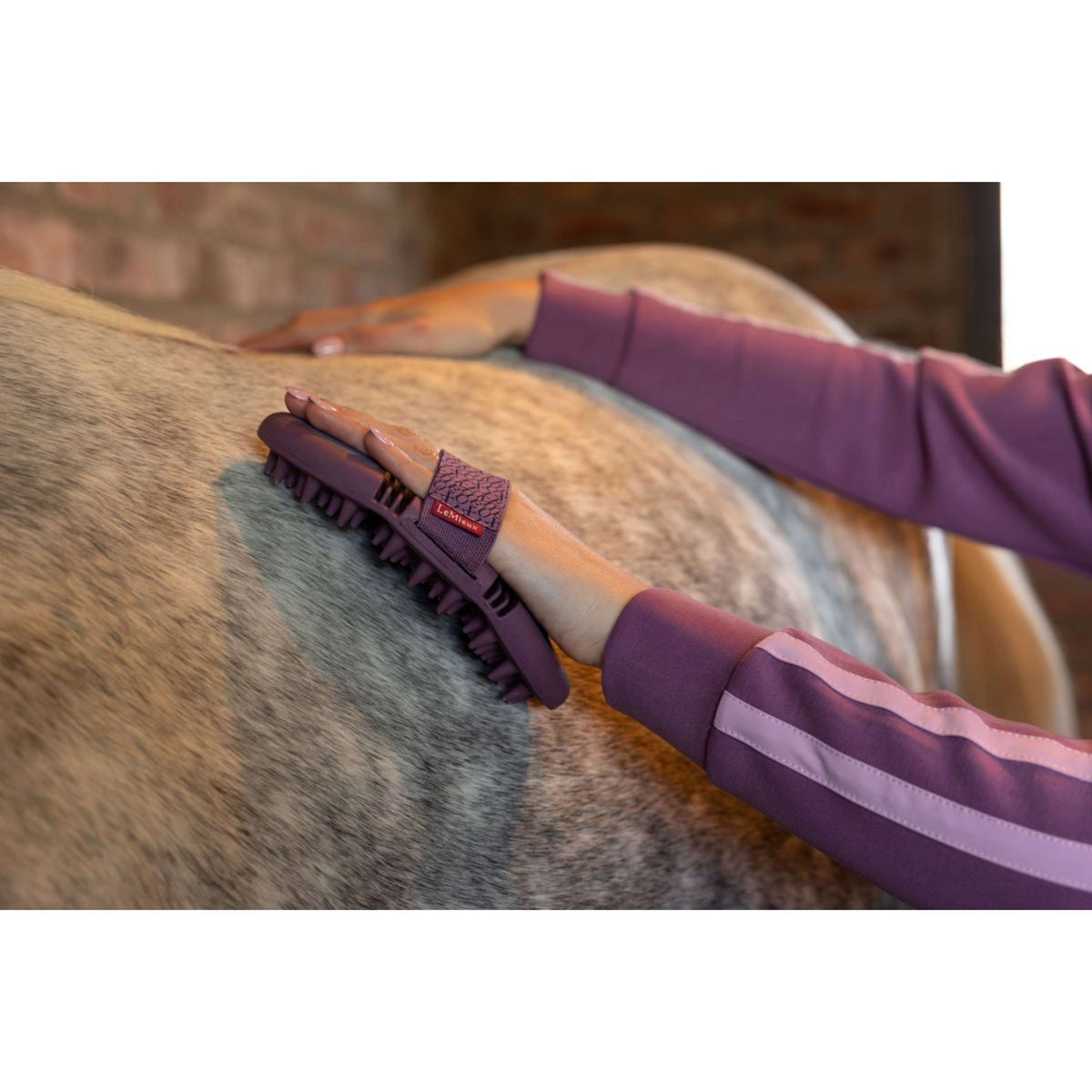 LeMieux Massage Bürste Flexi Powder Blue