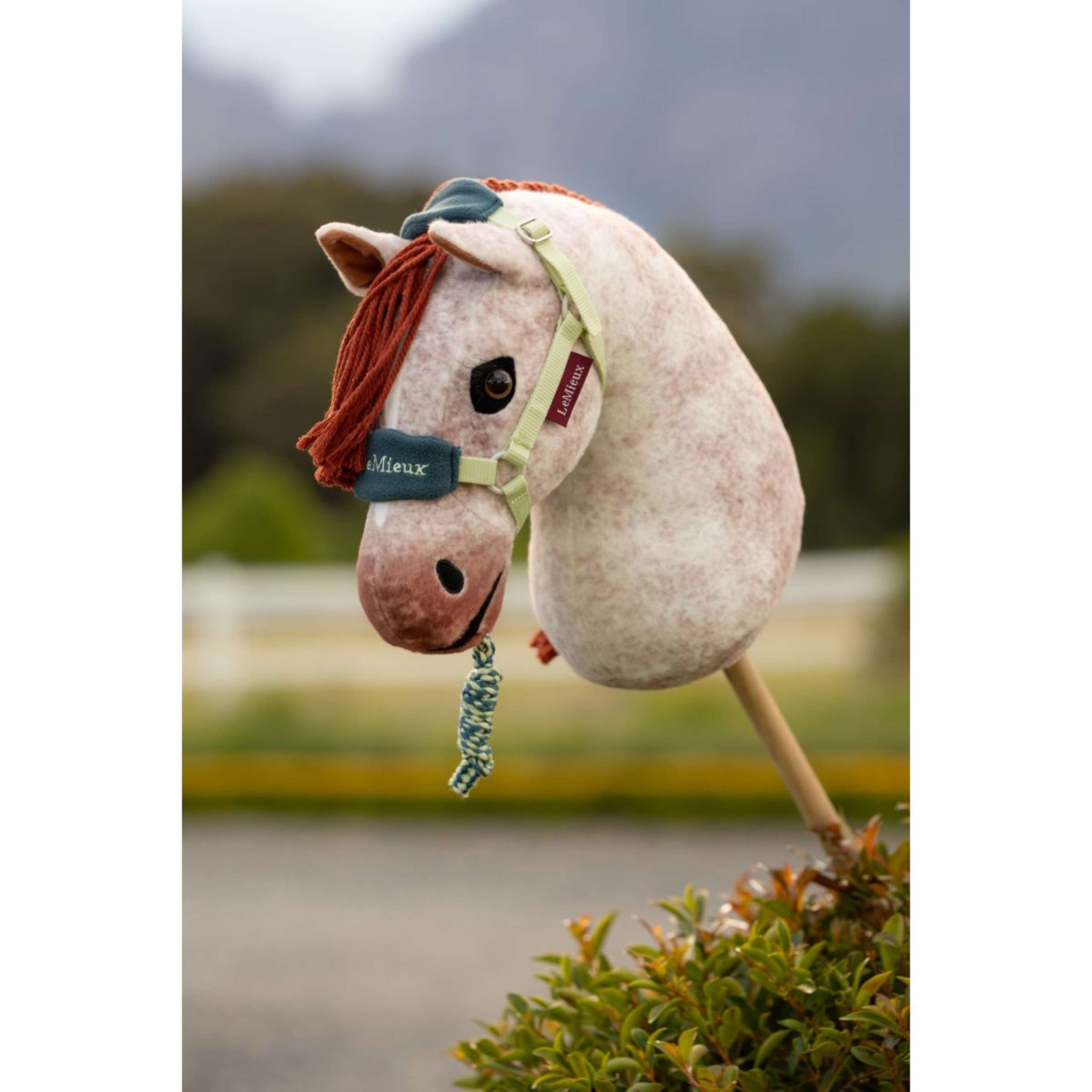 LeMieux Hobby Horse Vogue Halfter Macaron LeMieux Hobby Horse Vogue Halfter Macaron