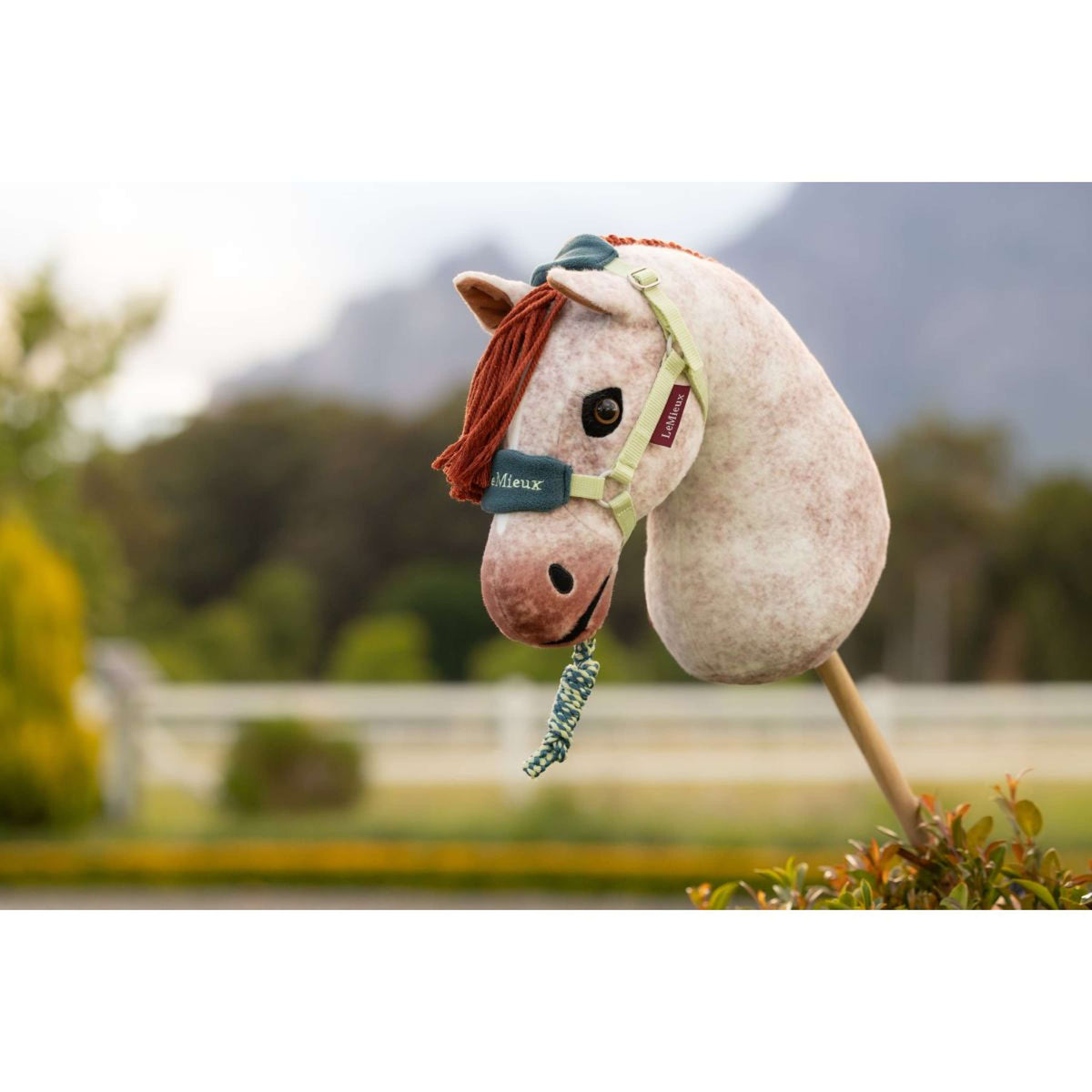 LeMieux Hobby Horse Vogue Halfter Macaron