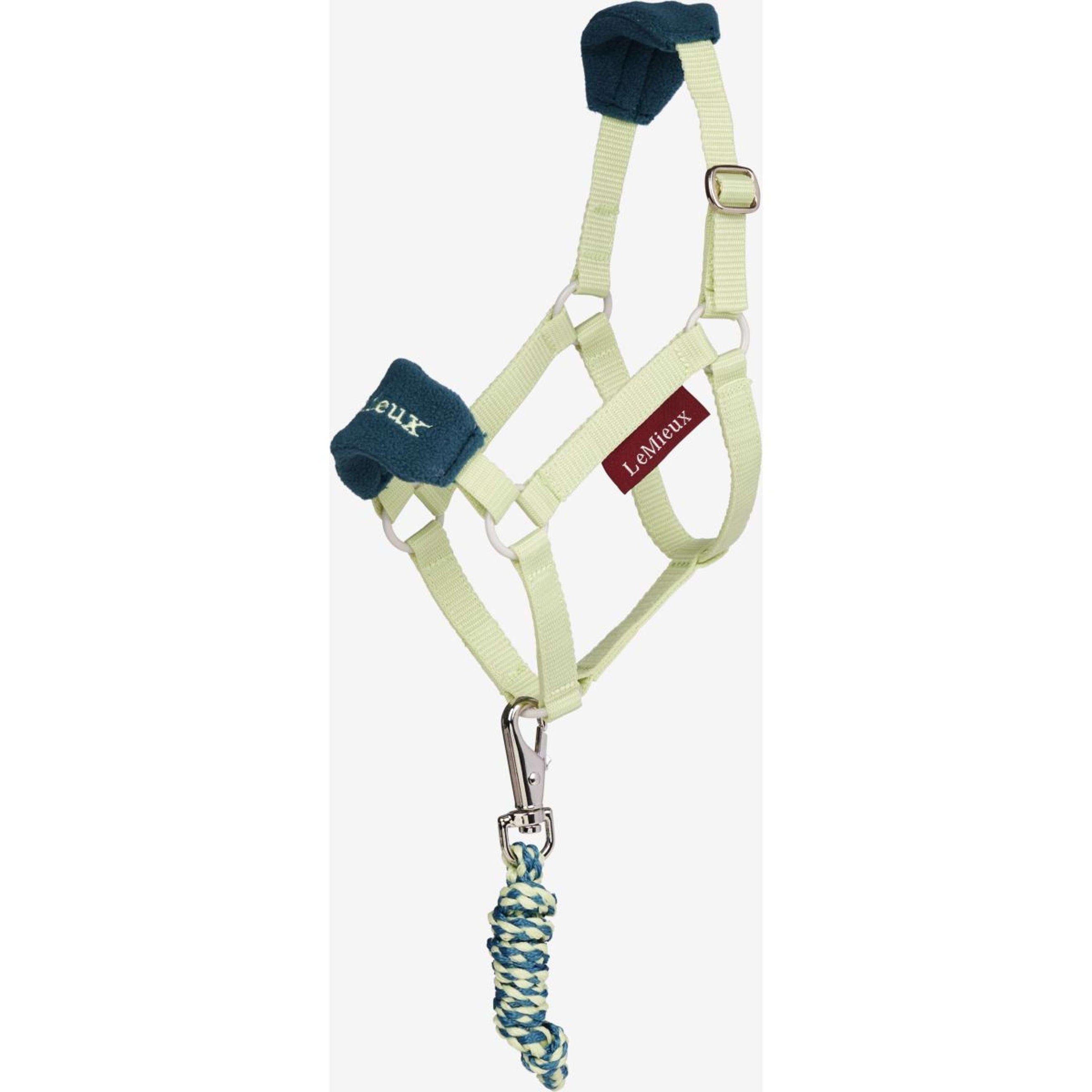 LeMieux Hobby Horse Vogue Halfter Macaron LeMieux Hobby Horse Vogue Halfter Macaron