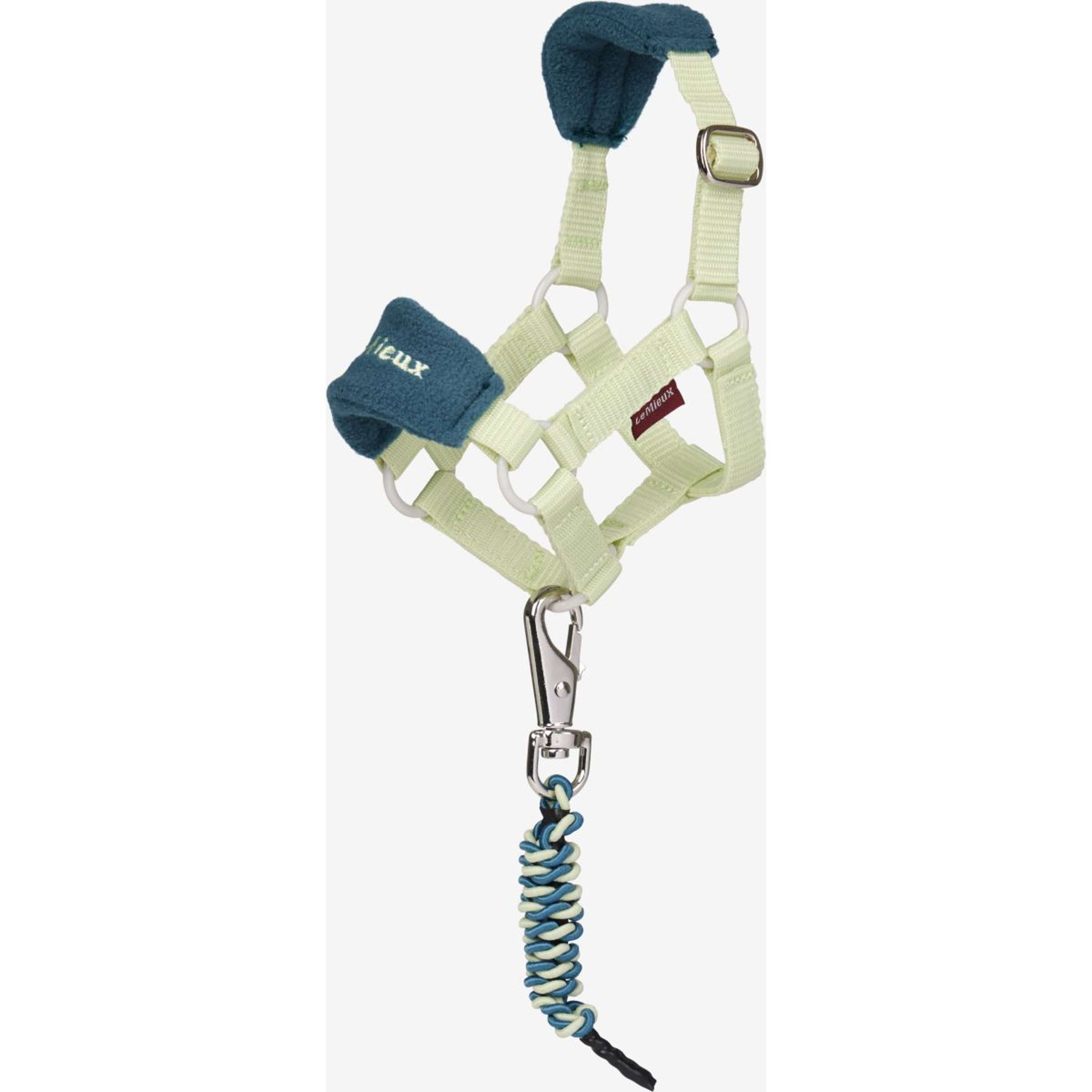 LeMieux Toy Pony Vogue Halfterset Macaron