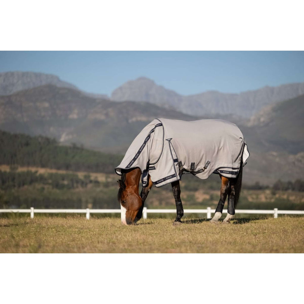 LeMieux Fliegendecke Kudos Gladiator Grau