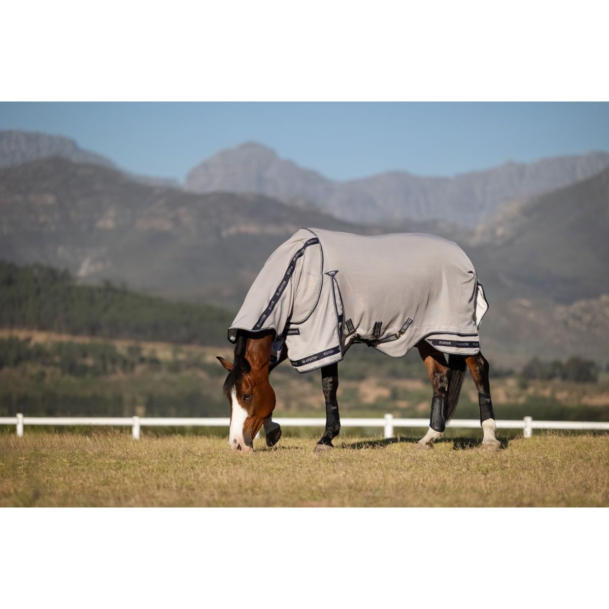 LeMieux Fliegendecke Kudos Gladiator Grau