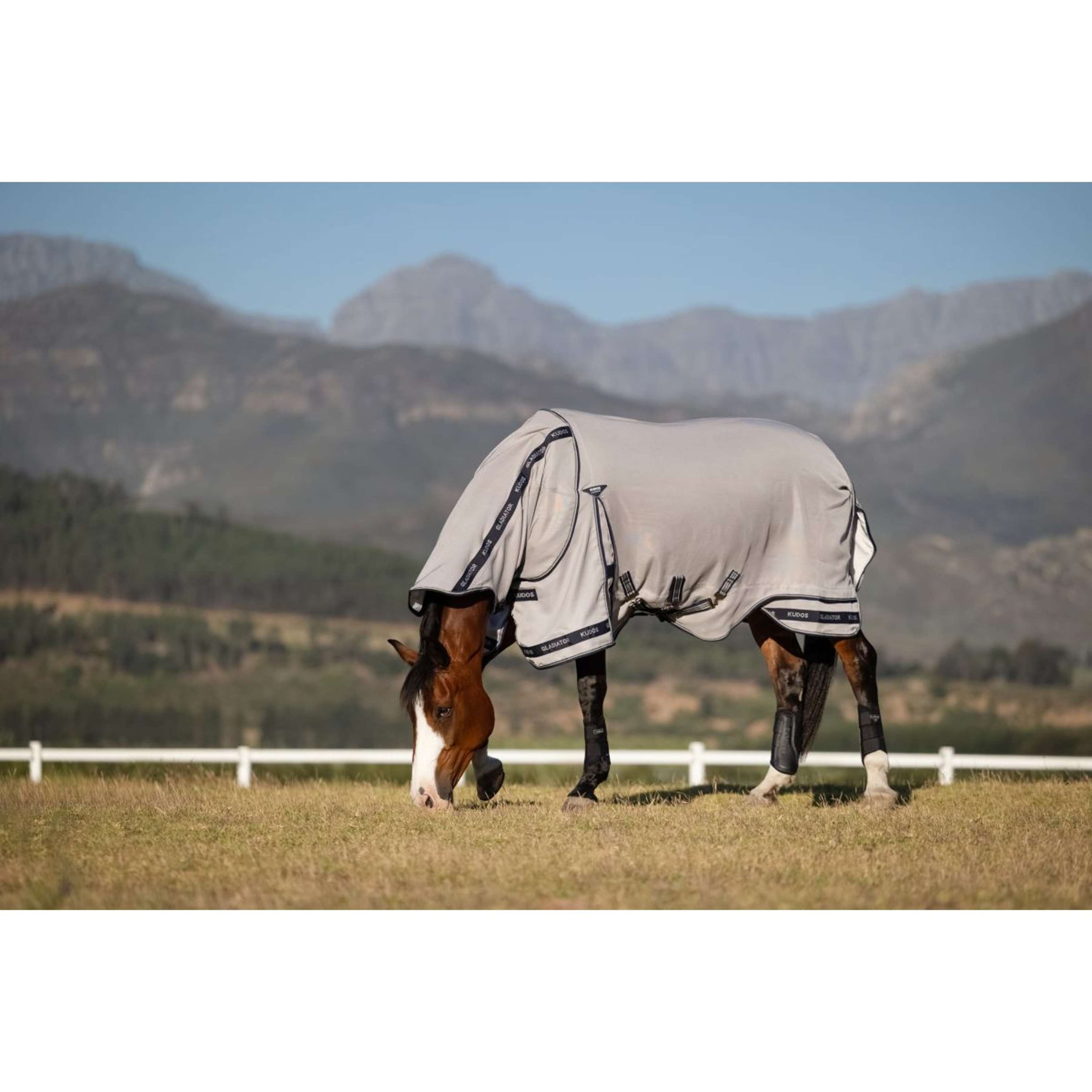 LeMieux Fliegendecke Kudos Gladiator Grau LeMieux Fliegendecke Kudos Gladiator Grau