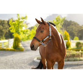 LeMieux Halfter Capella Powder Blue