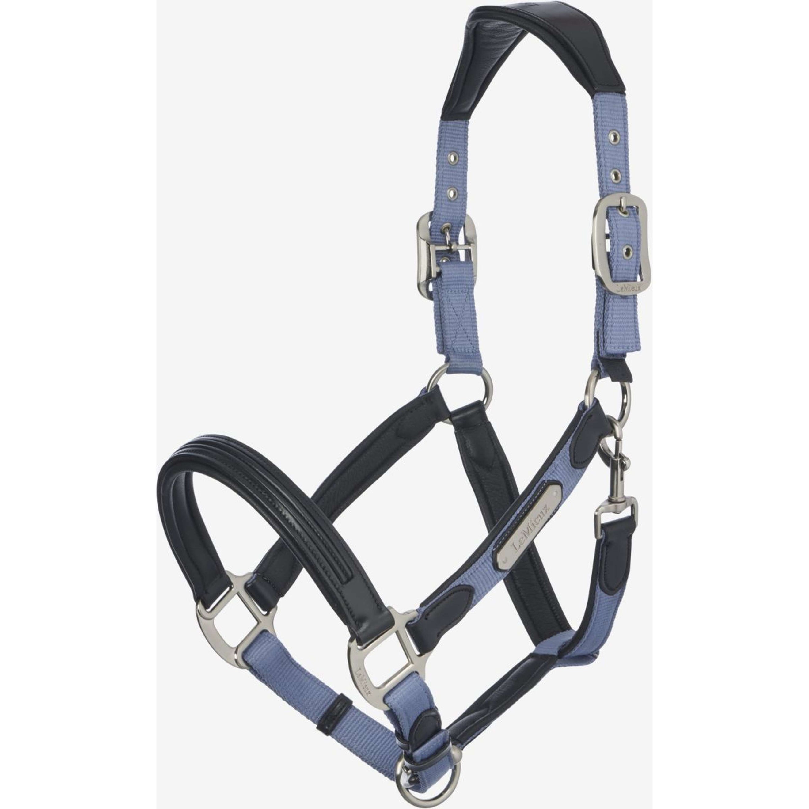 LeMieux Halfter Capella Powder Blue