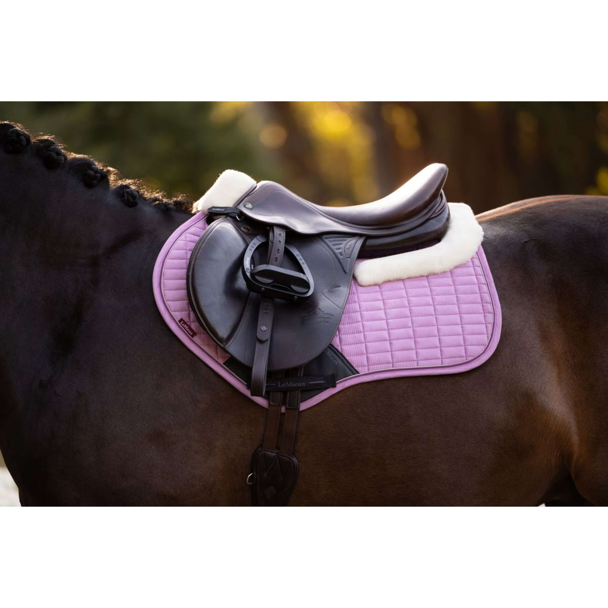 LeMieux Schabracke Merino+ Suede Close Contact Square Springen Fondant