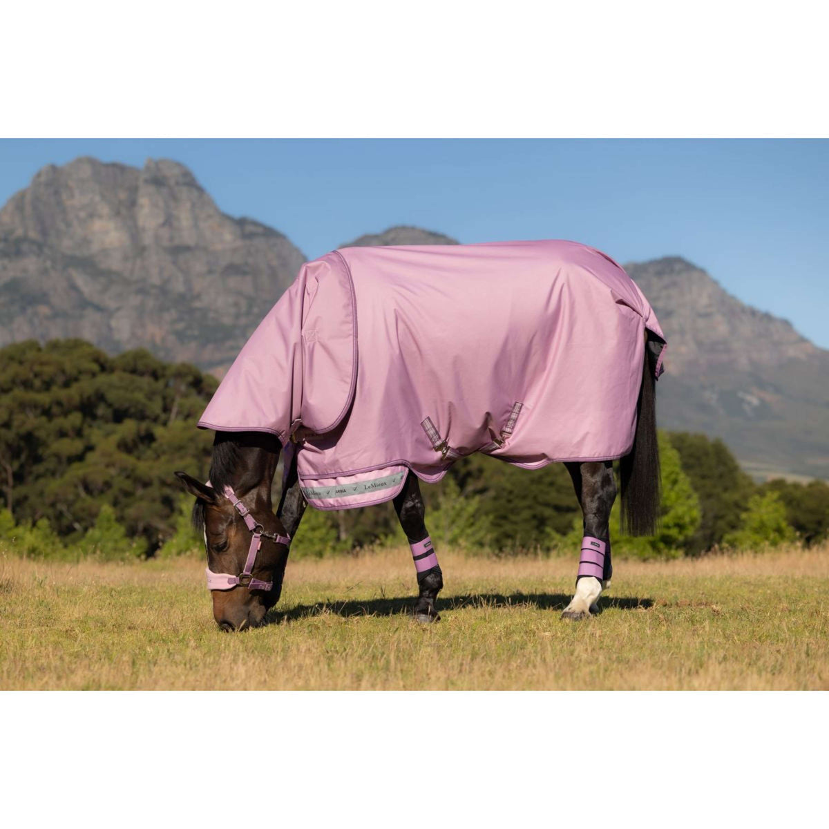 LeMieux Outdoordecke Arika Ripstop 0g Fondant