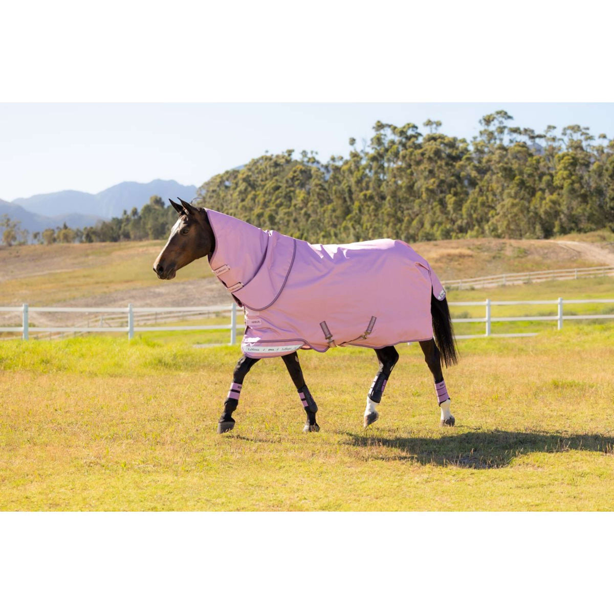 LeMieux Outdoordecke Arika Ripstop 0g Fondant