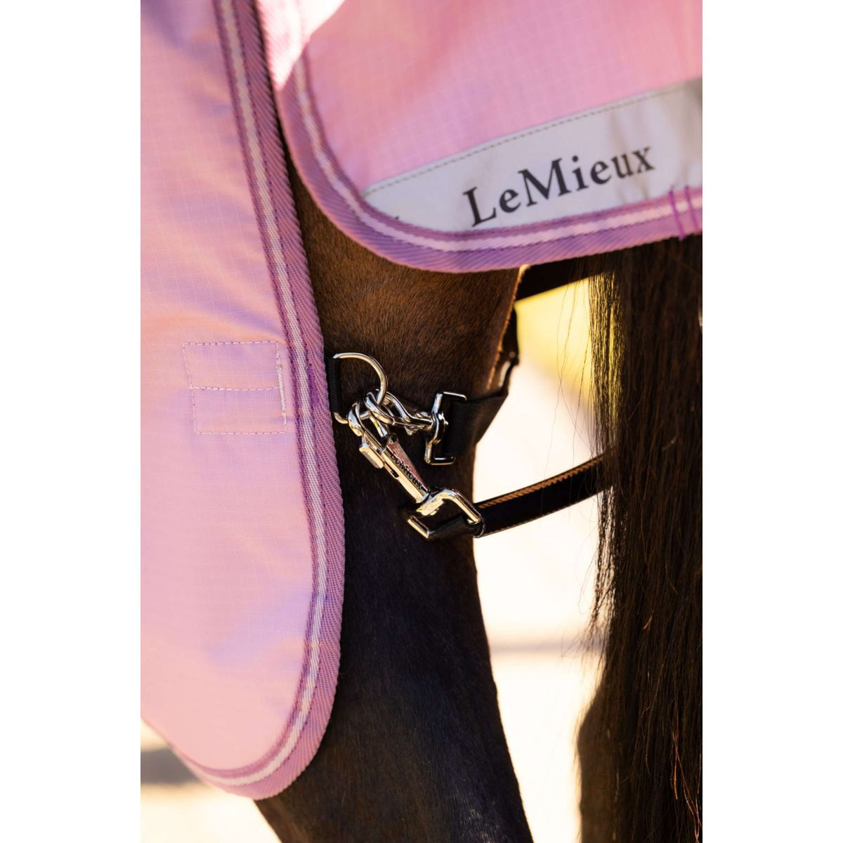 LeMieux Outdoordecke Arika Ripstop 0g Fondant