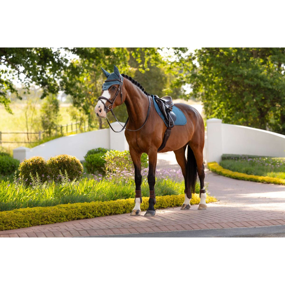 LeMieux Schabracke Essence Close Contact Square Springen Jungle