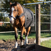 Kavalkade Turnout / Führanlagendecke Halifax 2in1 200g Schwarz