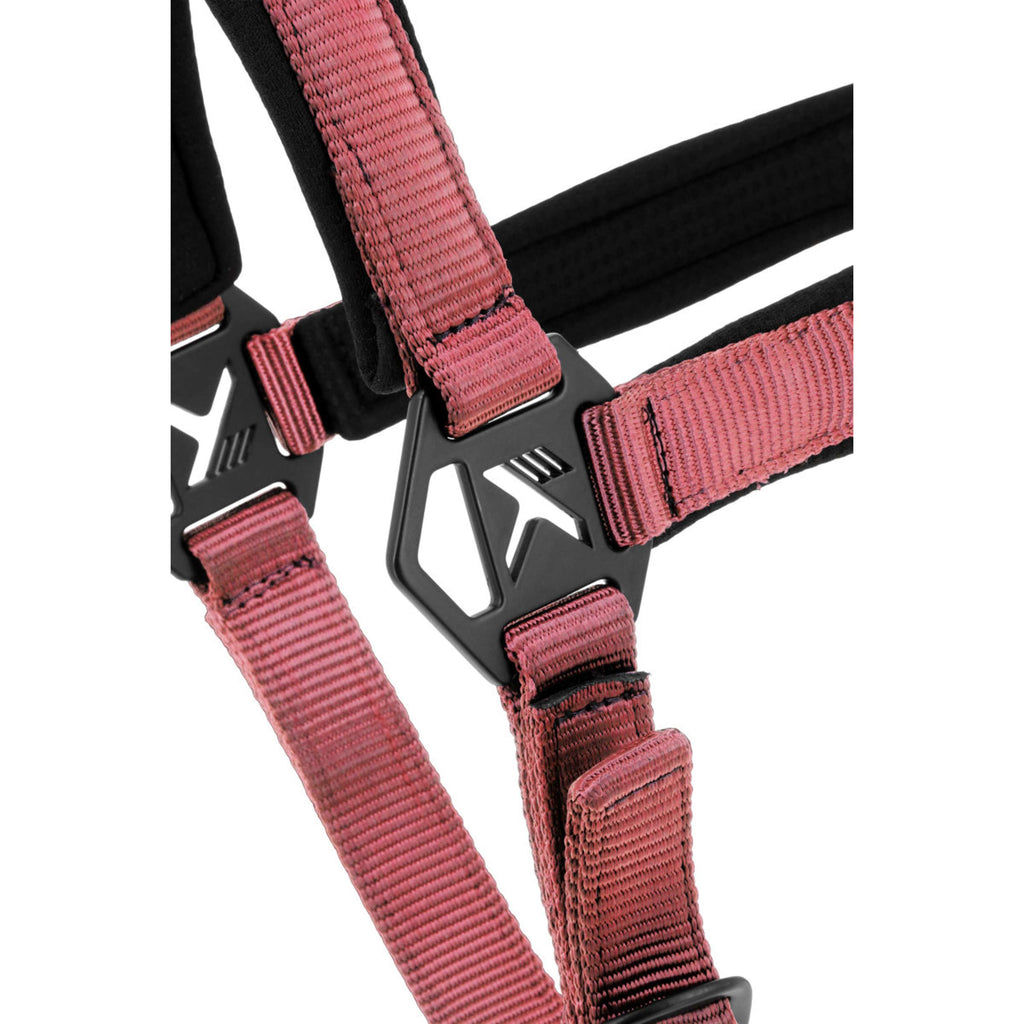 K by EQUITHÈME Halfter Triton Rosa