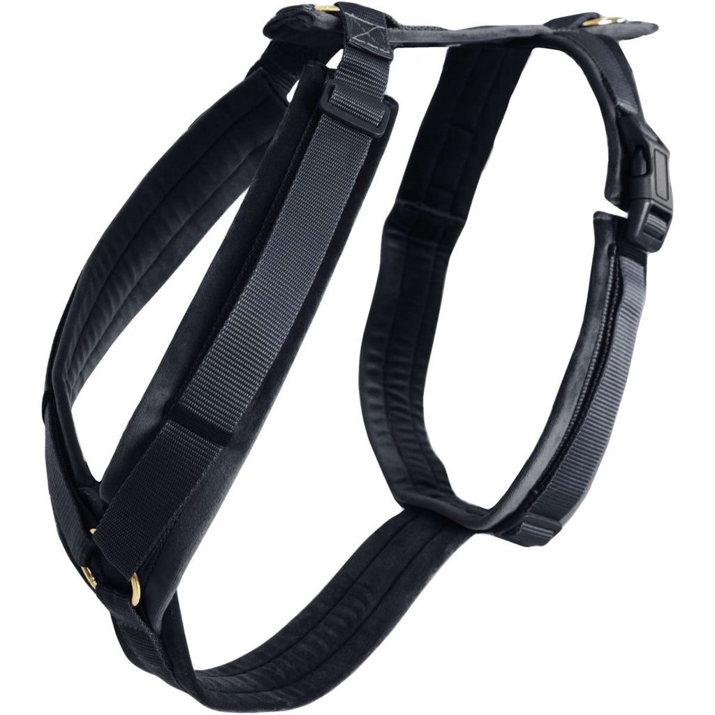 Kentucky Geschirr Active Velvet Schwarz