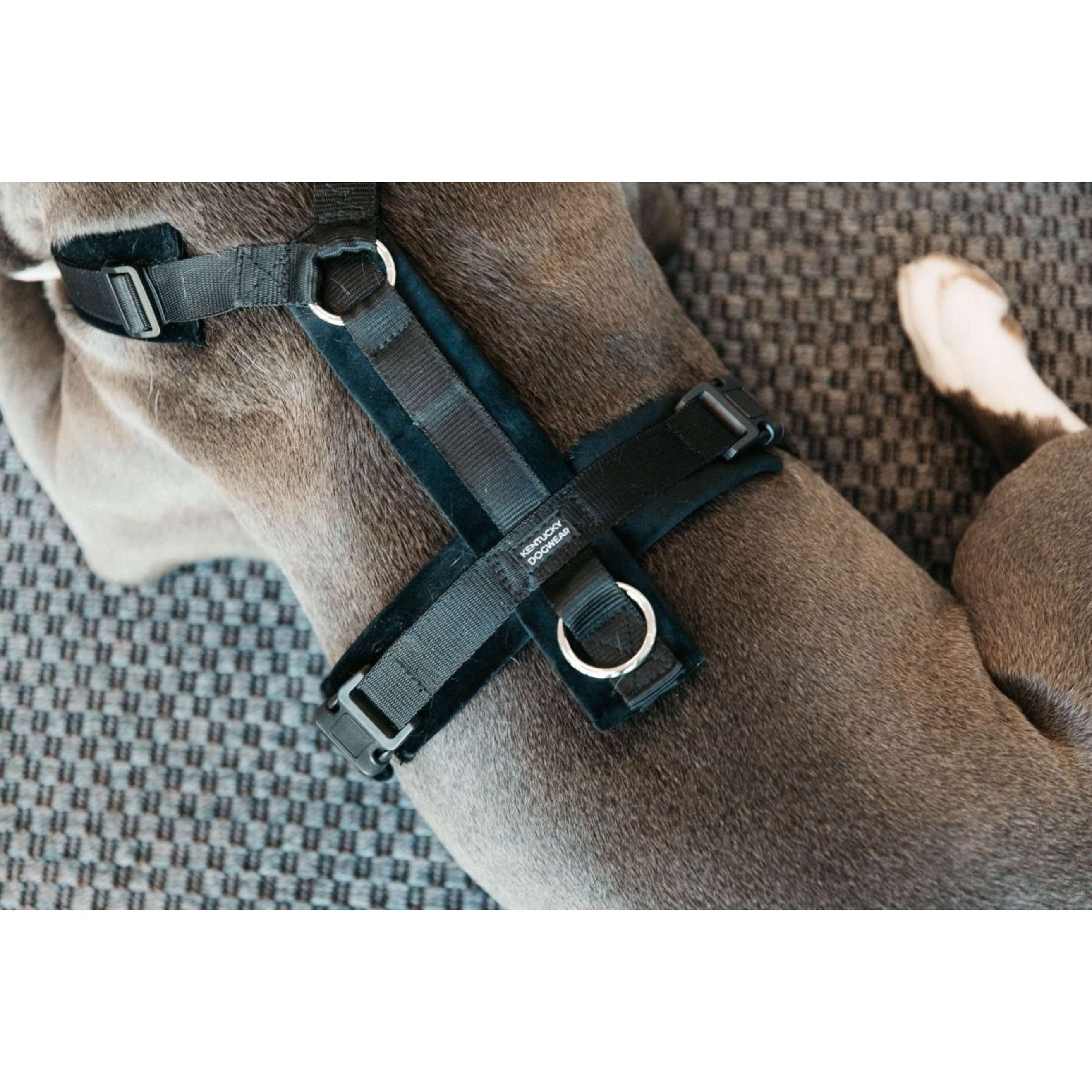 Kentucky Geschirr Active Velvet Schwarz Kentucky Geschirr Active Velvet Schwarz