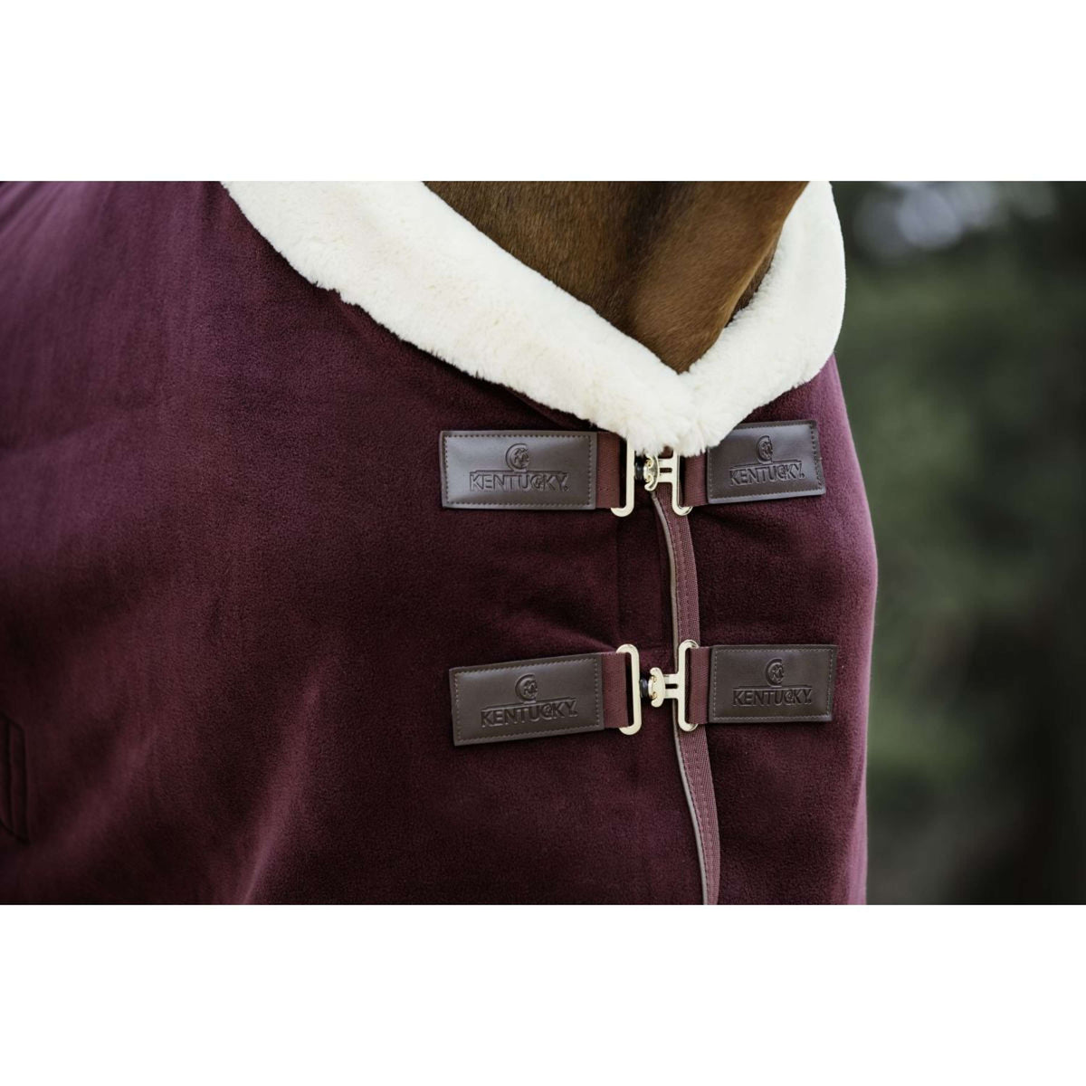 Kentucky Horsewear Abschwitzdecke Show Fleece Heavy Bordeaux