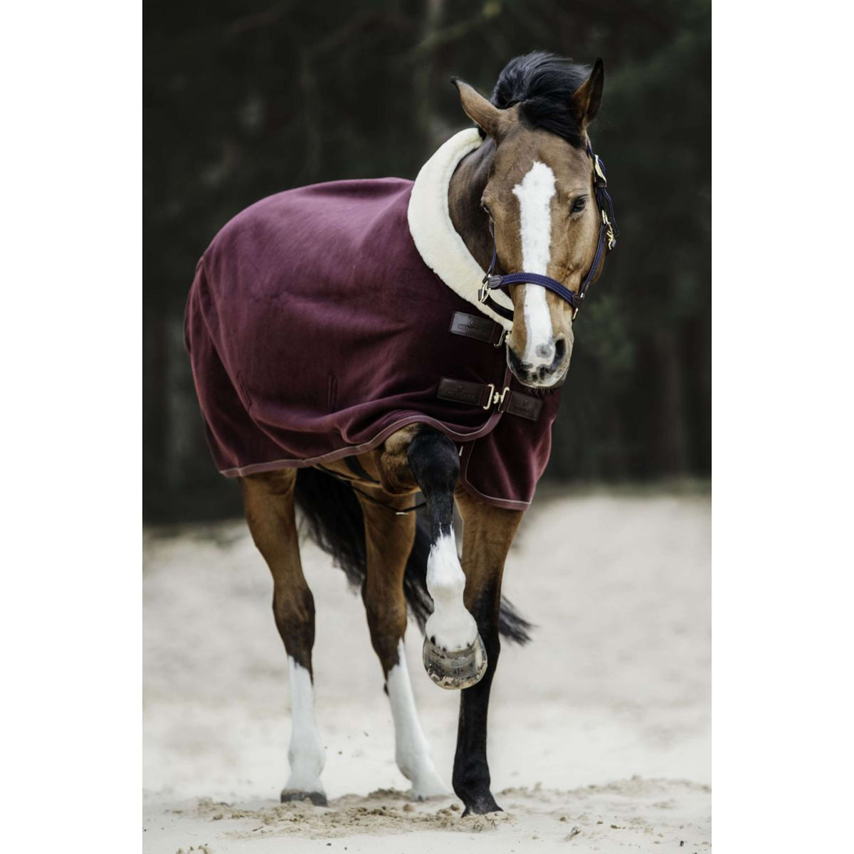 Kentucky Horsewear Abschwitzdecke Show Fleece Heavy Bordeaux