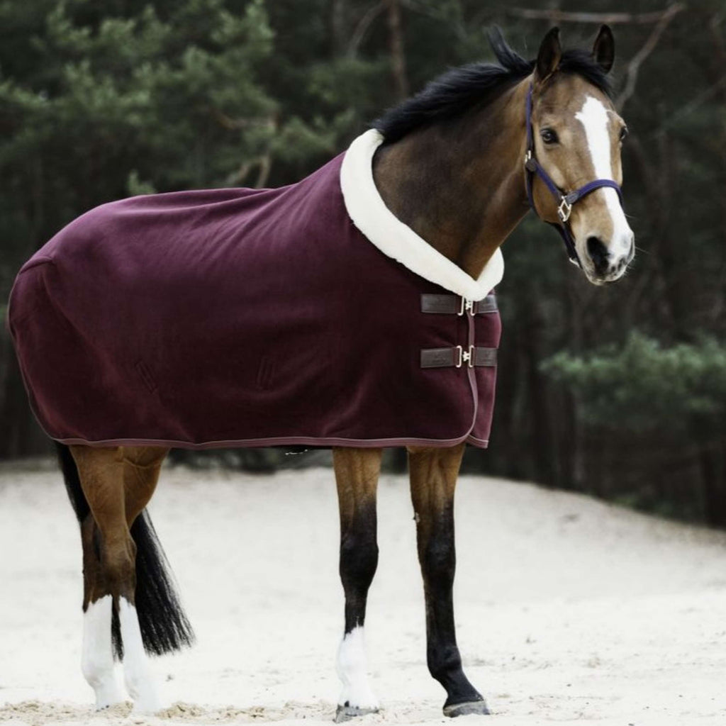 Kentucky Abschwitzdecke Show Fleece Heavy Bordeaux