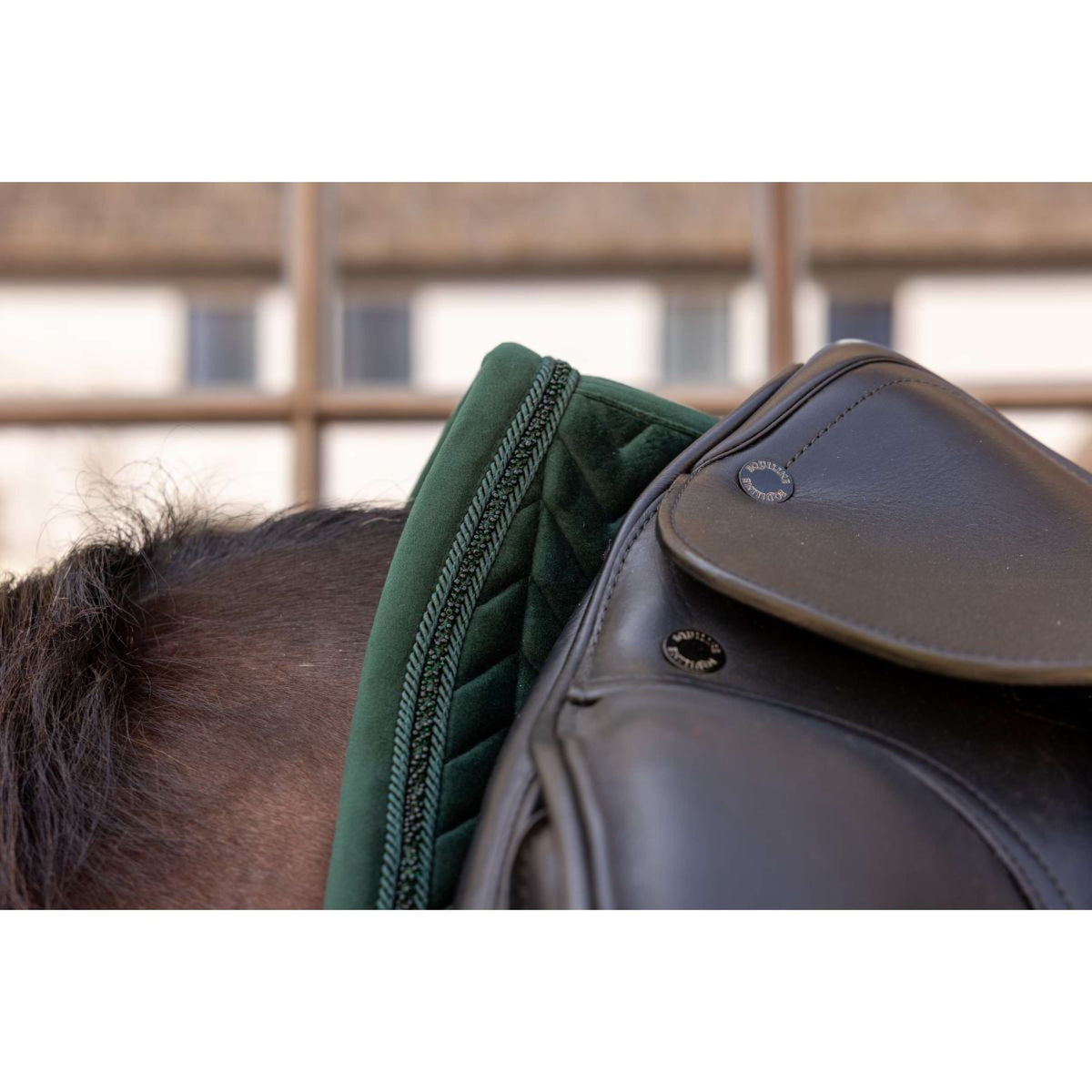 Kentucky Schabracke Velvet Mini Pearls Dressur Pine Green