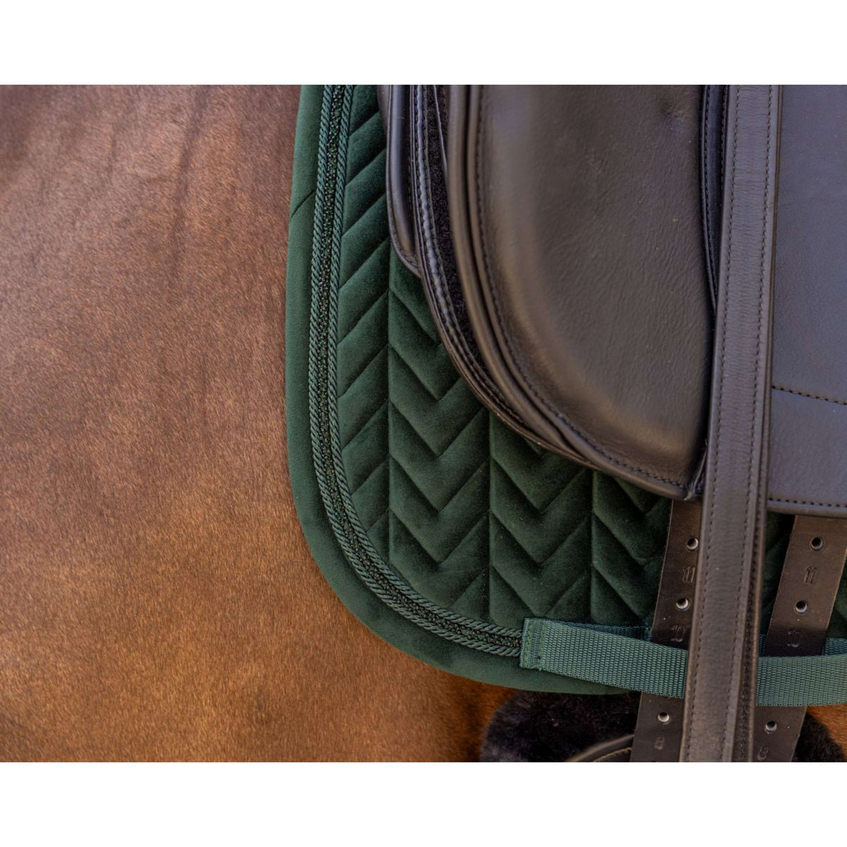 Kentucky Schabracke Velvet Mini Pearls Dressur Pine Green