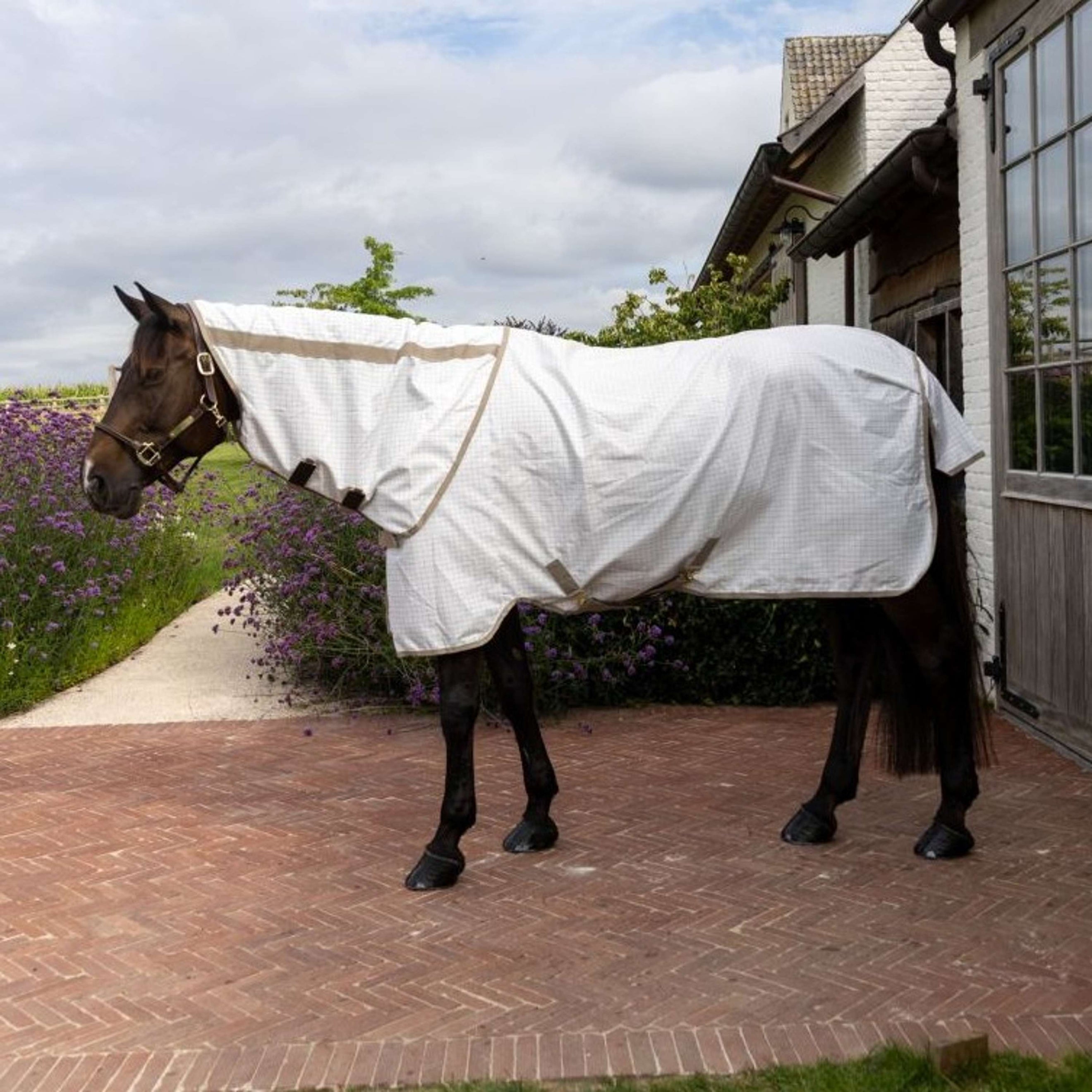 Kentucky Sommerdecke Sweet Itch Comfort Weiß/Beige Kentucky Sommerdecke Sweet Itch Comfort Weiß/Beige