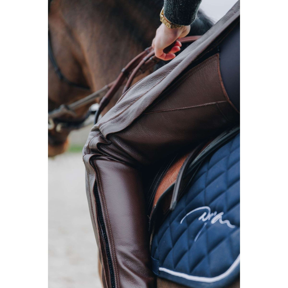 Dyon Lange Chaps aus Leder Standard Braun