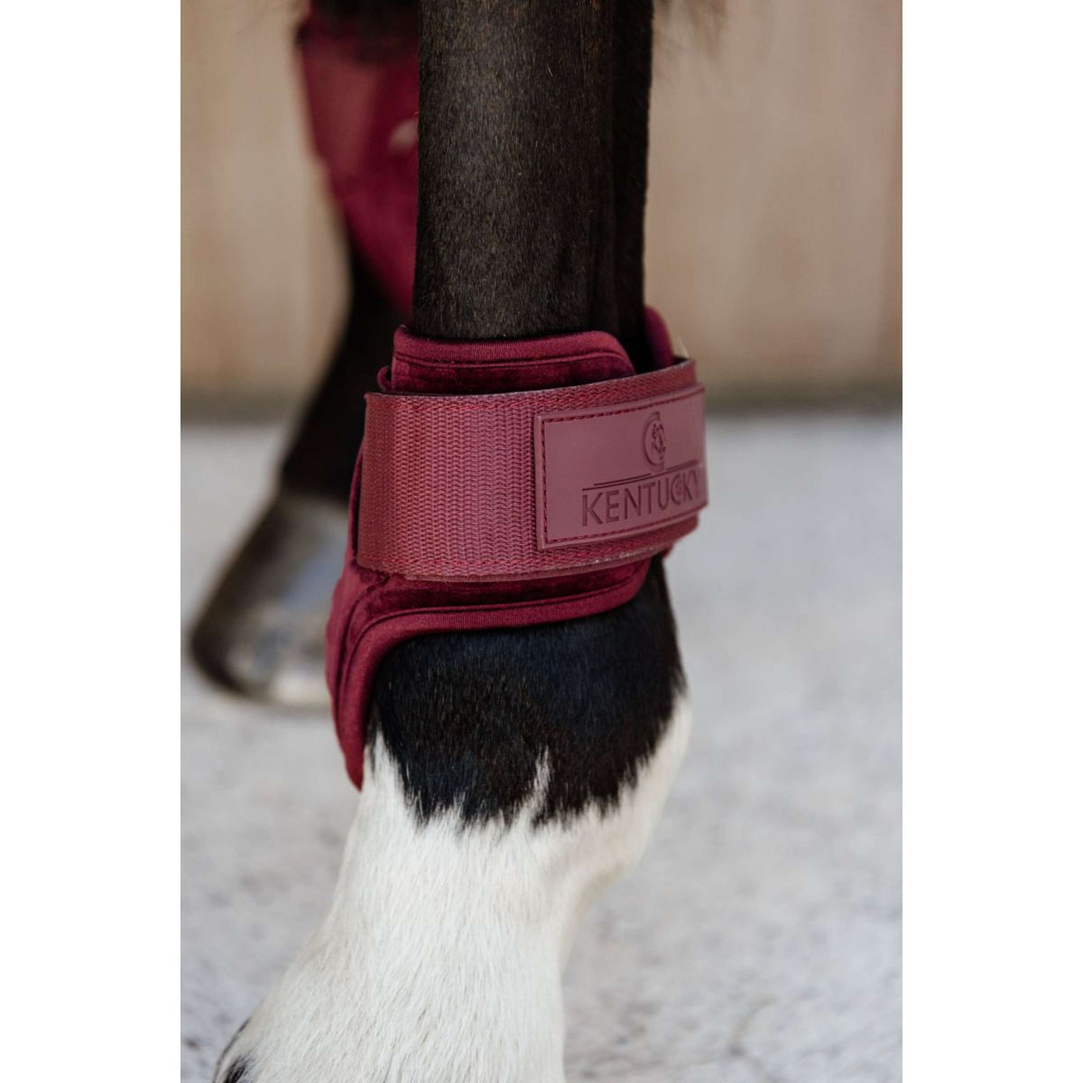 Kentucky Kugelschützer Young Horse Velvet Bordeaux