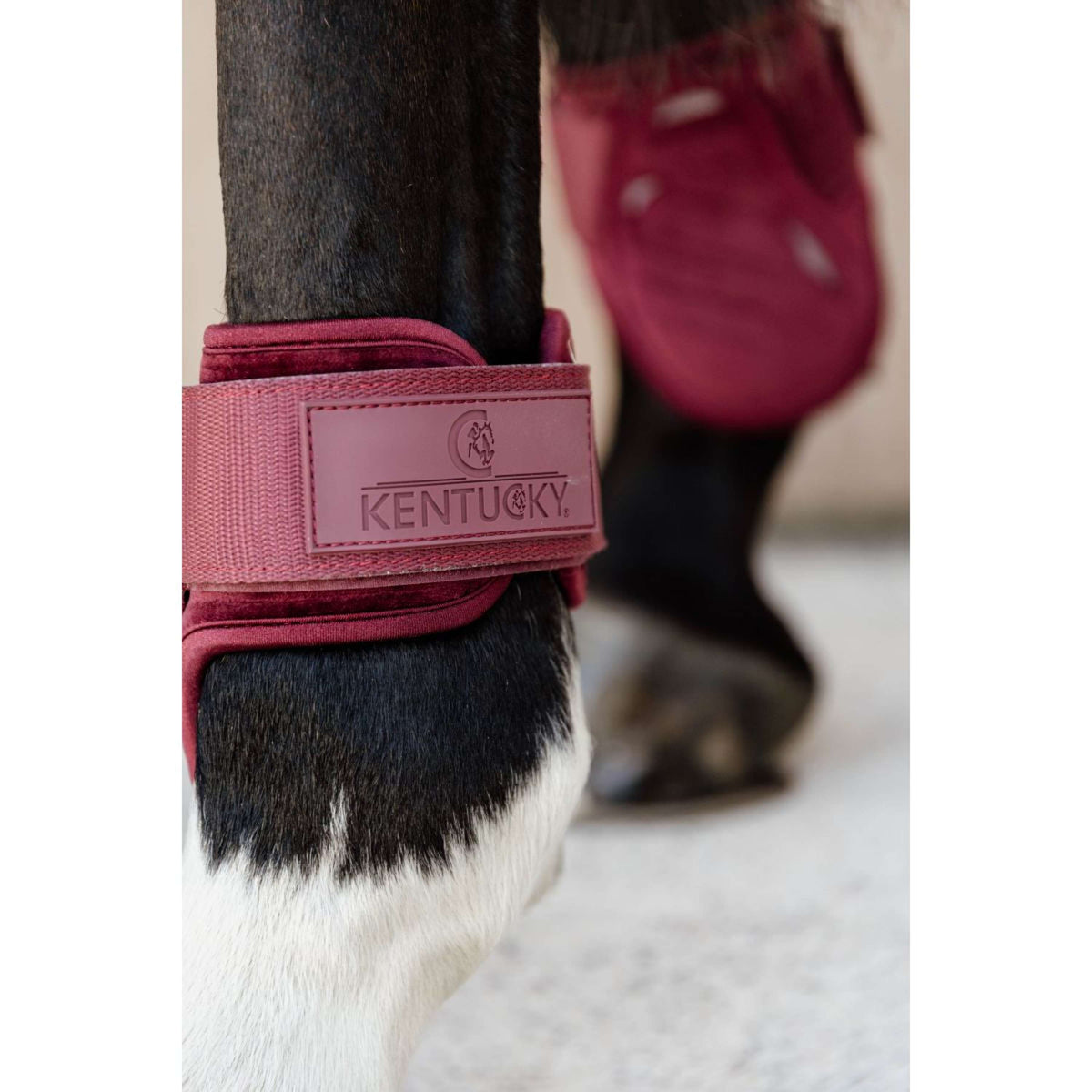 Kentucky Kugelschützer Young Horse Velvet Bordeaux