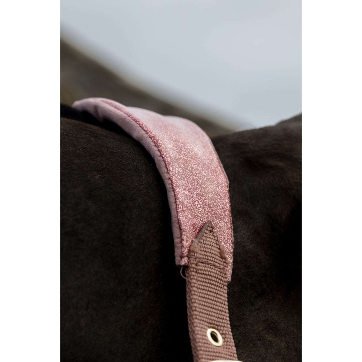 Kentucky Horsewear Halfter Velvet Glitter Unicorn Altrosa