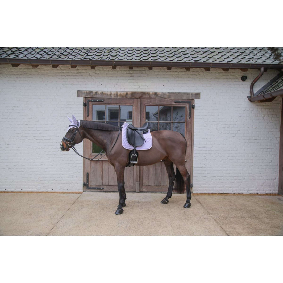Kentucky Horsewear Schabracke Softshell Onion Quilt Dressur Hellviolett/Hellrosa