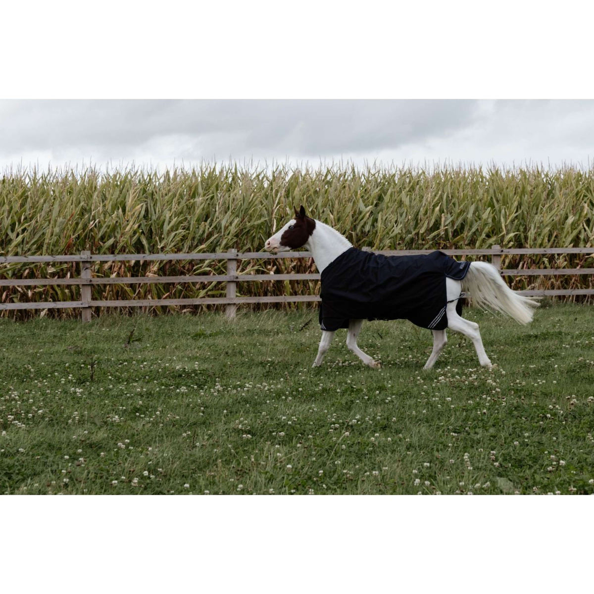 Kentucky Turnout Rug All Weather Comfort Waterproof 0g Schwarz