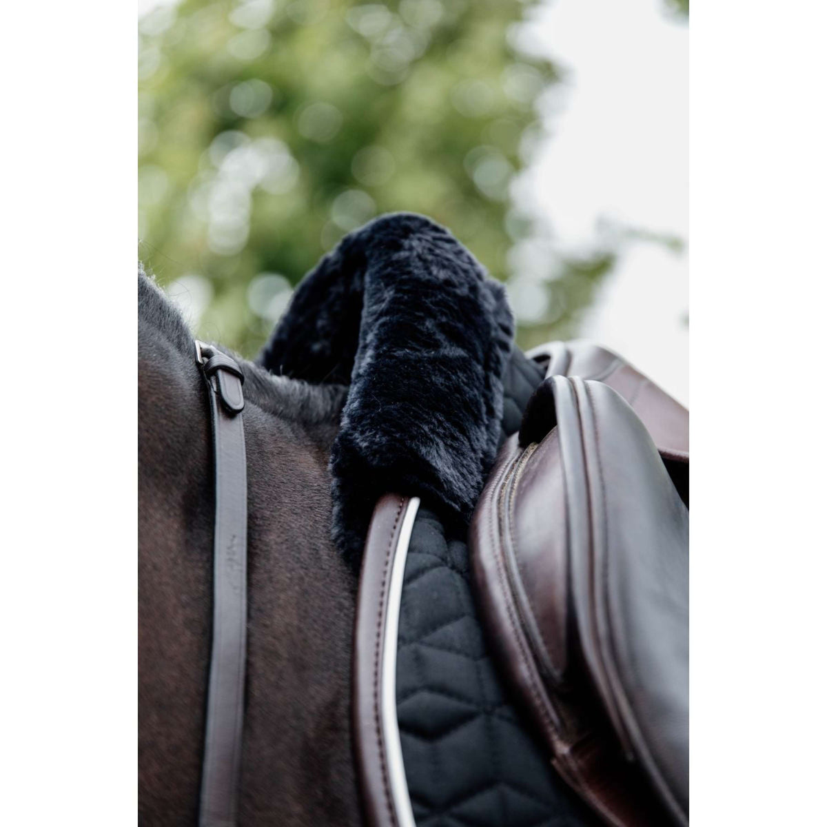 Kentucky Schabracke Skin Friendly Springen Schwarz