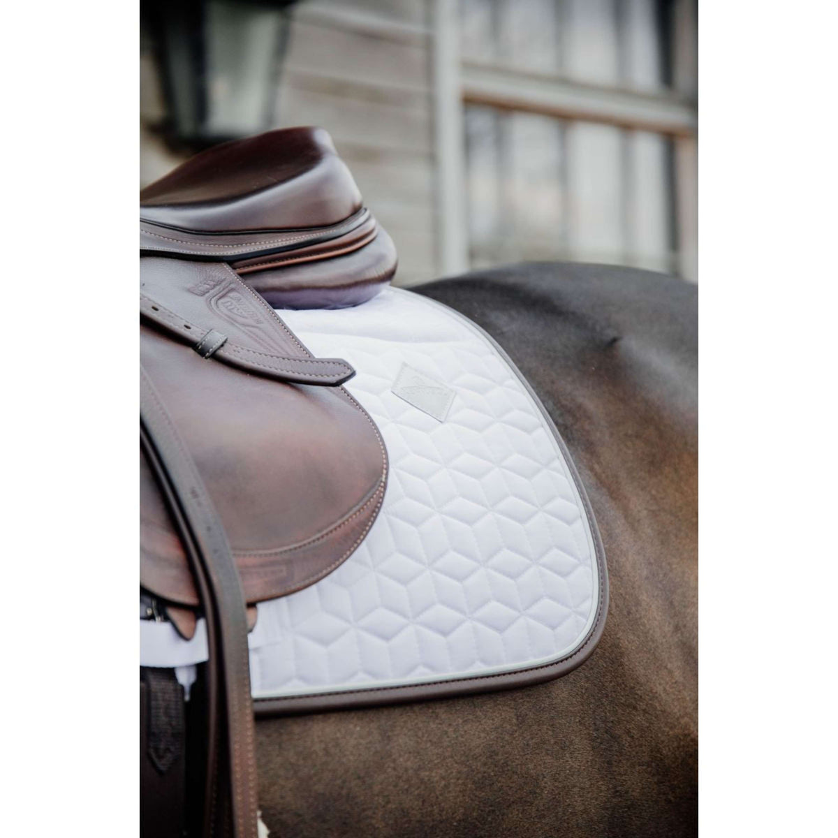 Kentucky Schabracke Skin Friendly Springen Weiß