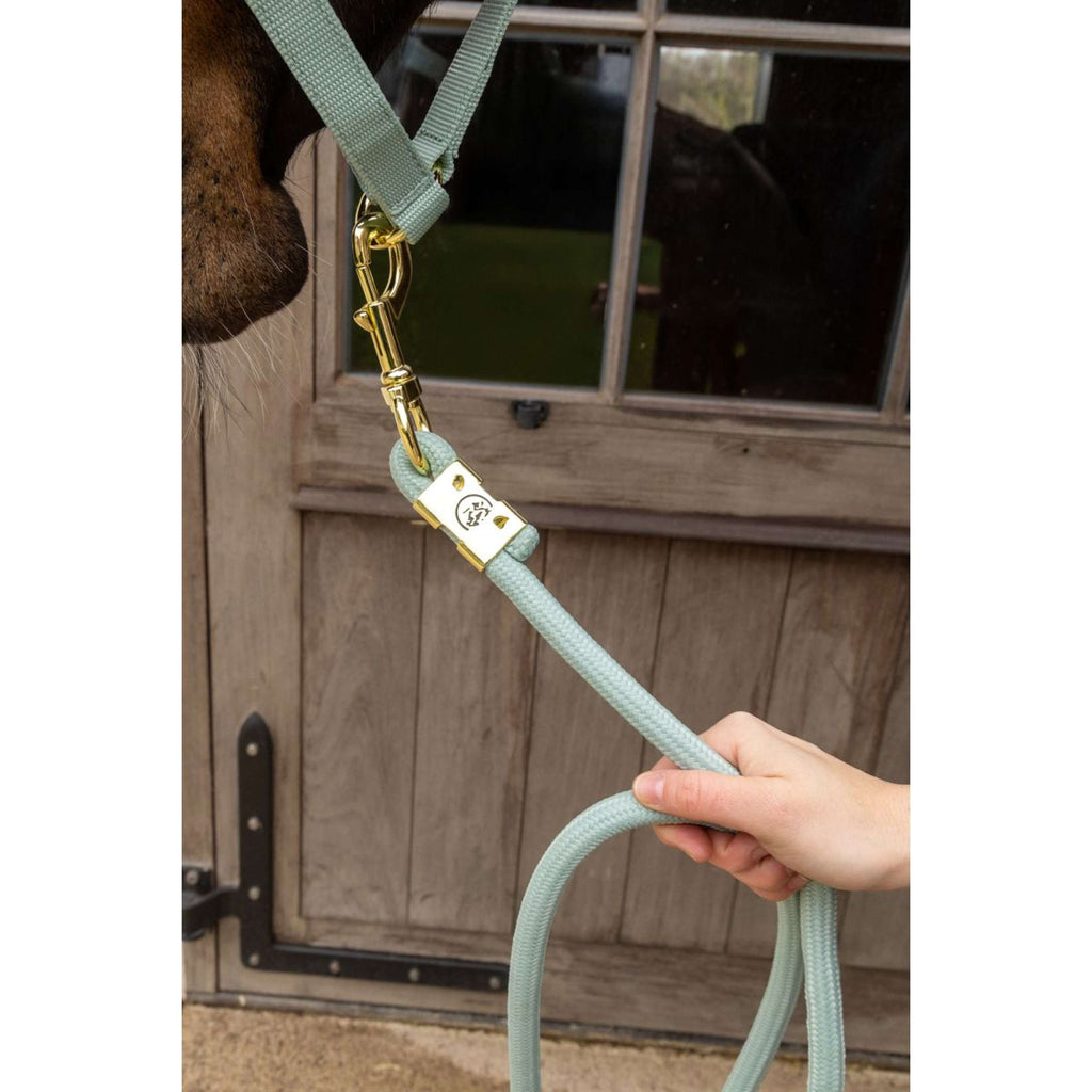 Kentucky Führstrick Basic Mint
