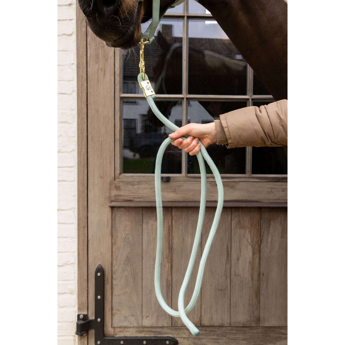Kentucky Führstrick Basic Mint