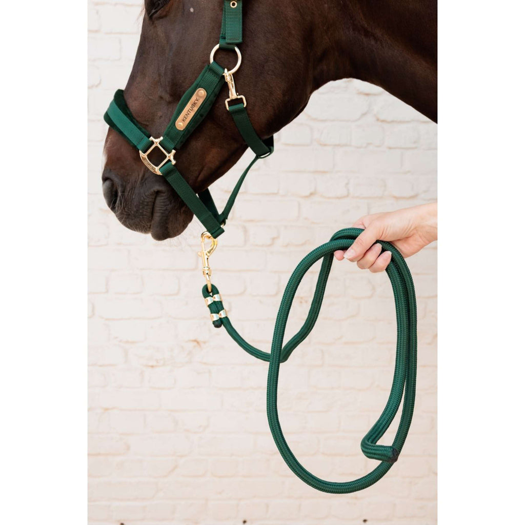 Kentucky Halfter Velvet Pine Green