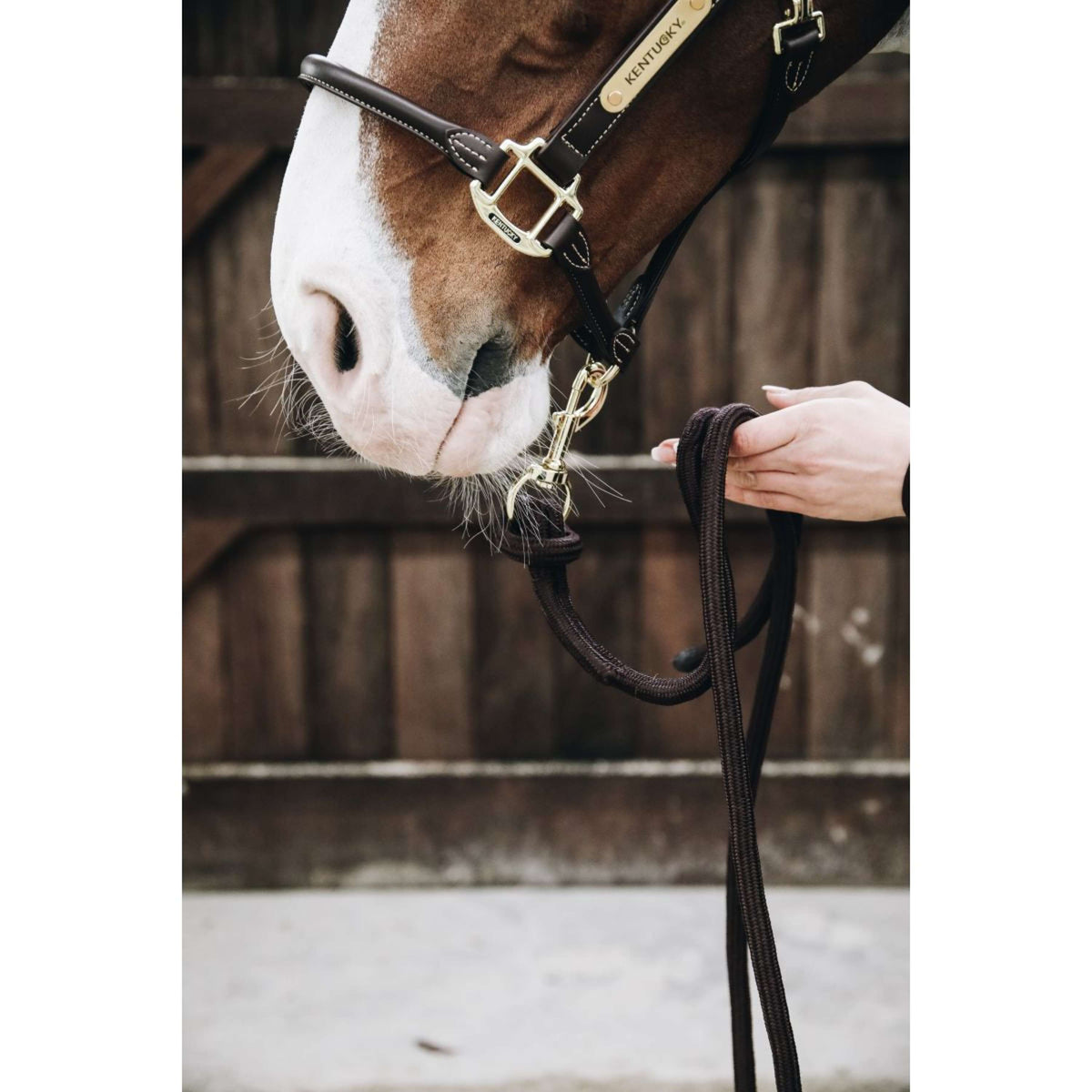 Kentucky Führstrick Loop Braun