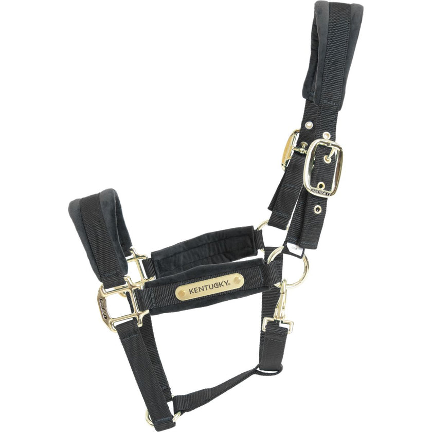 Kentucky Halfter Velvet Schwarz Kentucky Halfter Velvet Schwarz