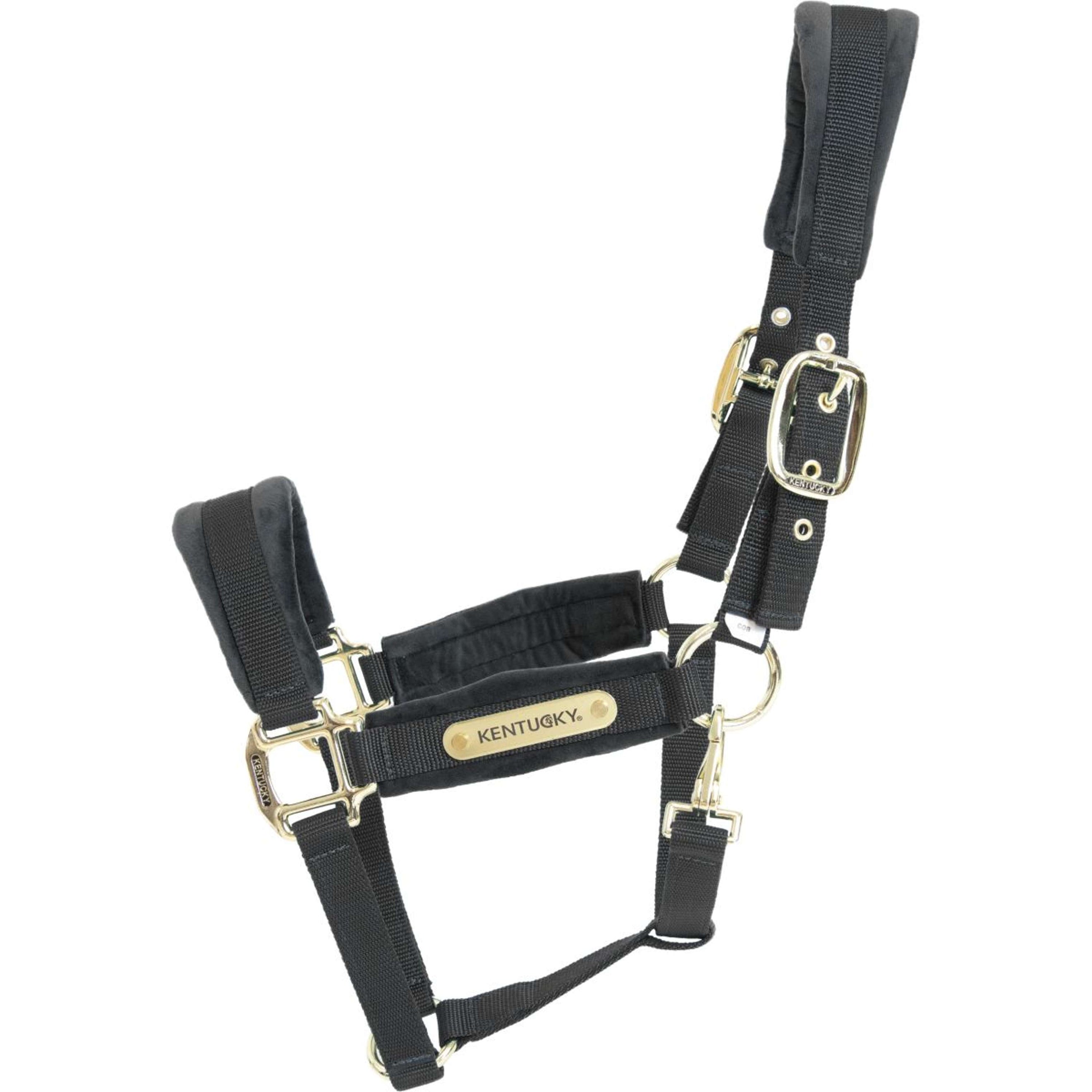 Kentucky Halfter Velvet Schwarz Kentucky Halfter Velvet Schwarz
