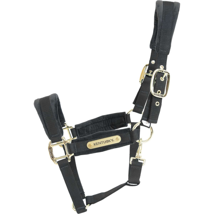 Kentucky Halfter Velvet Schwarz