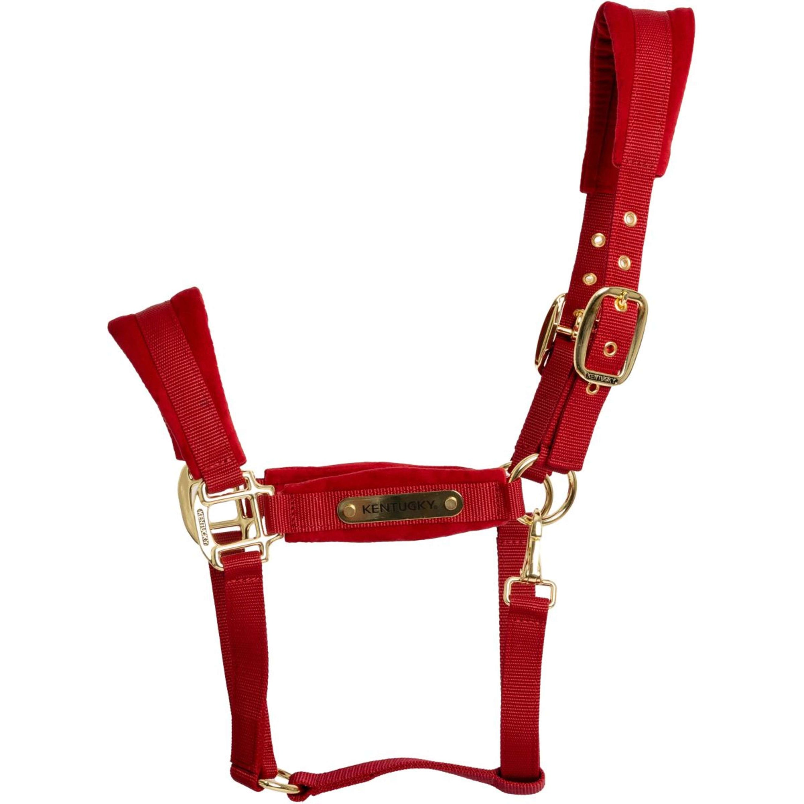 Kentucky Halfter Velvet Rot Kentucky Halfter Velvet Rot