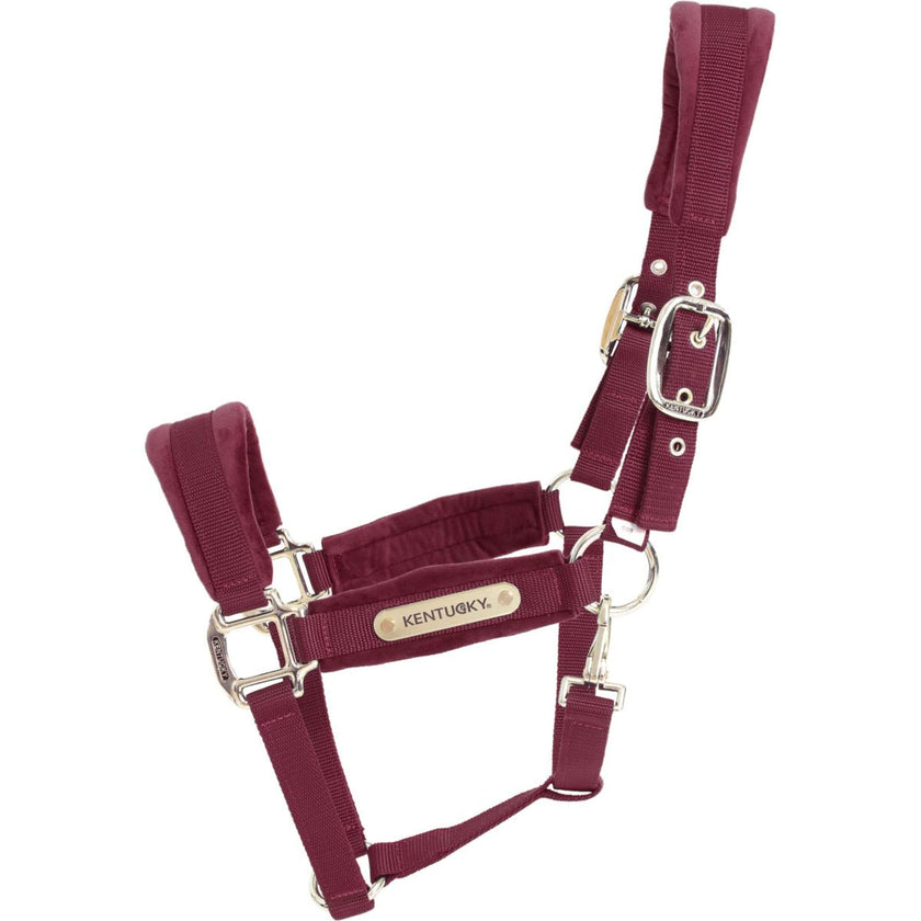 Kentucky Halfter Velvet Bordeaux