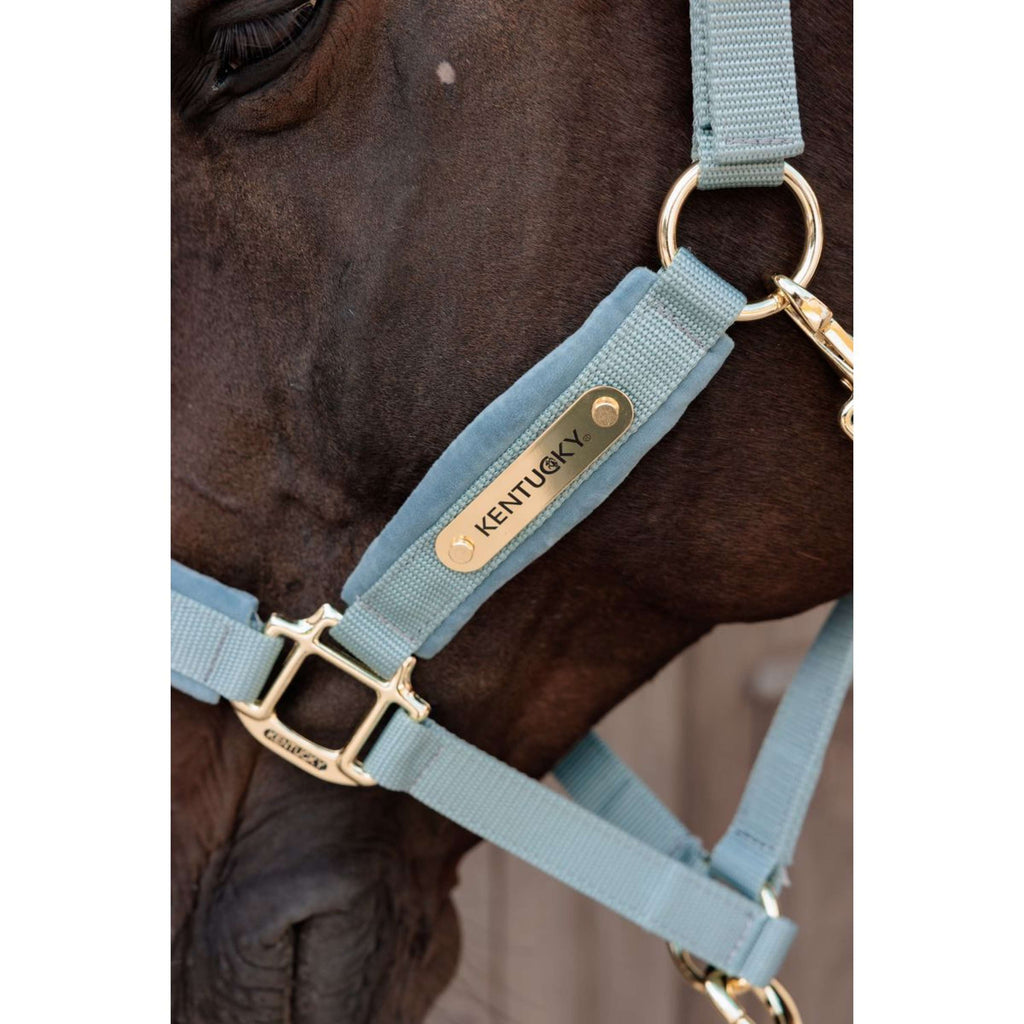 Kentucky Halfter Velvet Hellblau