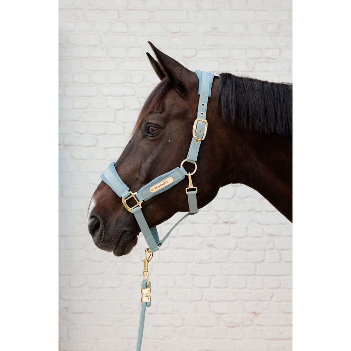 Kentucky Halfter Velvet Hellblau