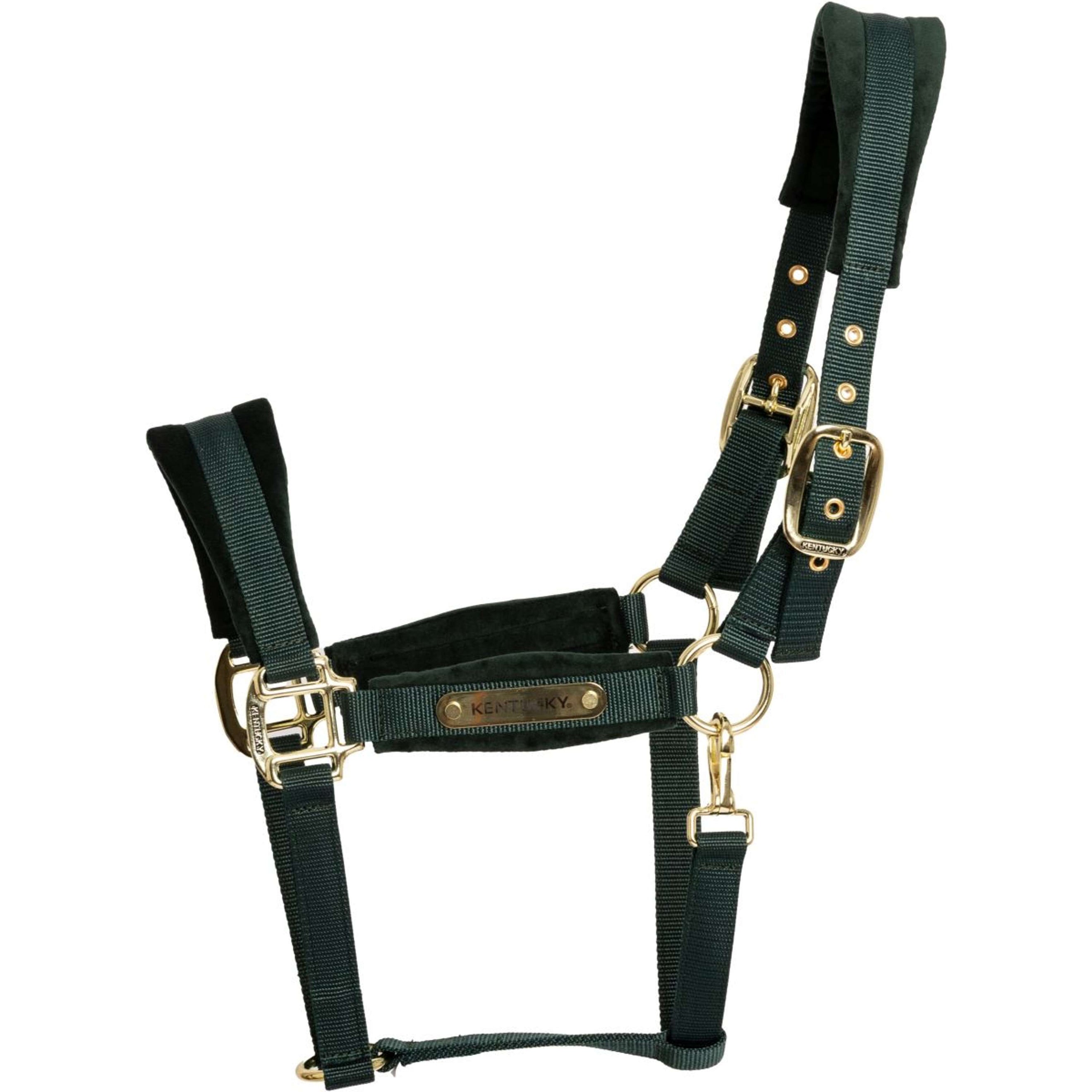 Kentucky Halfter Velvet Pine Green Kentucky Halfter Velvet Pine Green