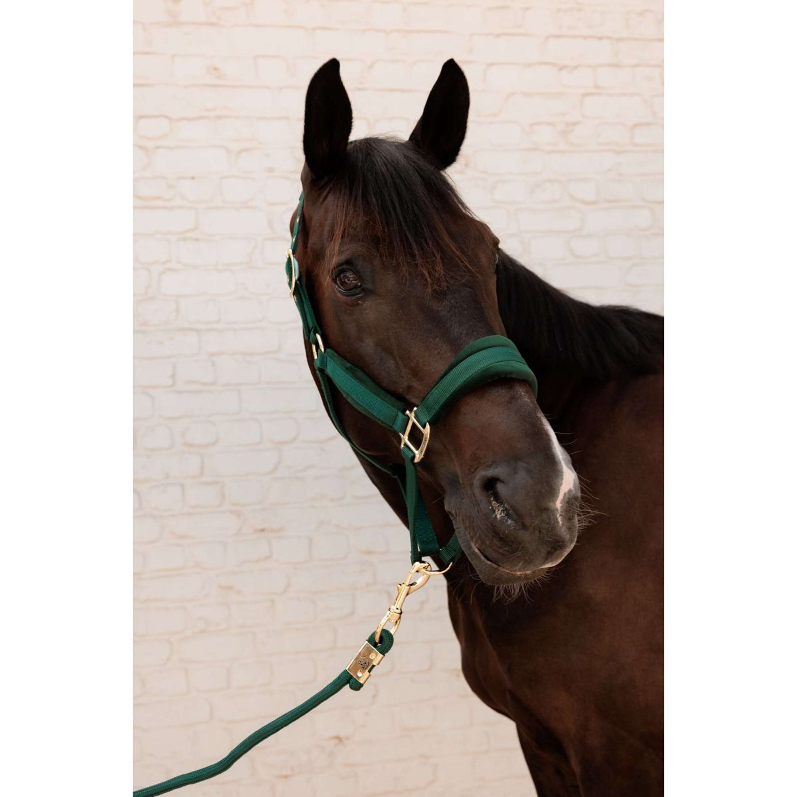 Kentucky Führstrick Basic Pine Green