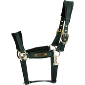 Kentucky Halfter Velvet Pine Green