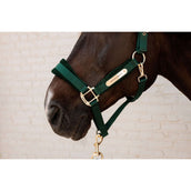 Kentucky Halfter Velvet Pine Green