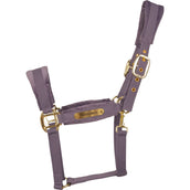 Kentucky Halfter Velvet Violett